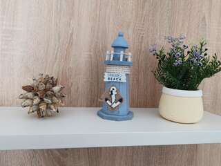 Апартаменты Apartman Maximus Будва Апартаменты с террасой-5