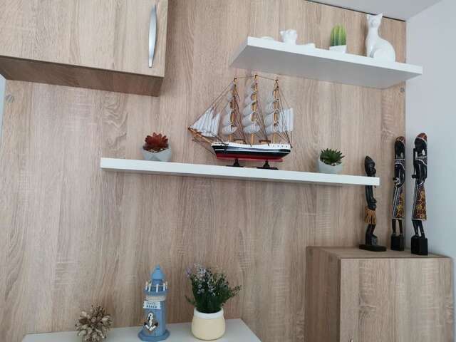 Апартаменты Apartman Maximus Будва-51