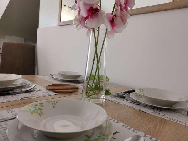 Апартаменты Apartman Maximus Будва-59